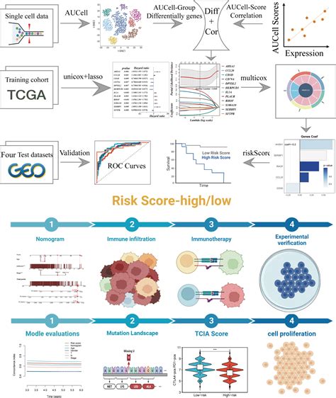 Frontiers The Integrated Single Cell Analysis Developed A Lactate