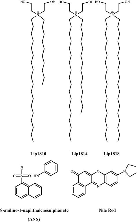 Scheme 1 Chemical Structures Of The Cationic Amphiphiles With Varying