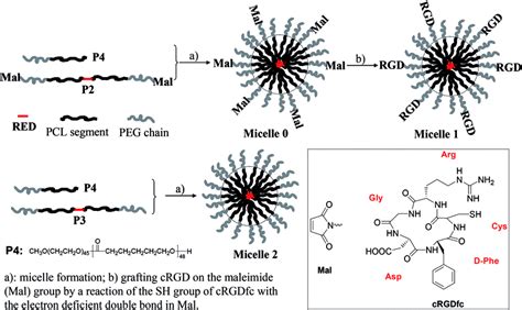 schematic illustration   formation  micelles