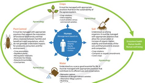 Agroecological Principles And Management Practices Download Scientific Diagram