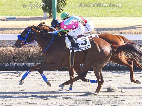 競馬ブックネットshop On Twitter Hidakafarm 🎊おめでとうございます📷写真をどうぞ クリニクラウン の3歳