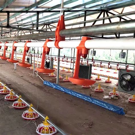 Poultry Feeding Drinking System Breeding Equipment For Farm Breeding