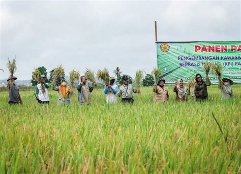 Tingkatkan Produktivitas Padi Kembangkan Kawasan Pertanian Berbasis