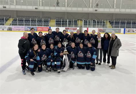 Lions Go Back To Back In Girls Hockey Brantford Expositor