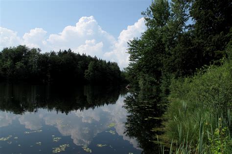 Naturschutzgebiet Eggstätt Hemhofer Seenplatte