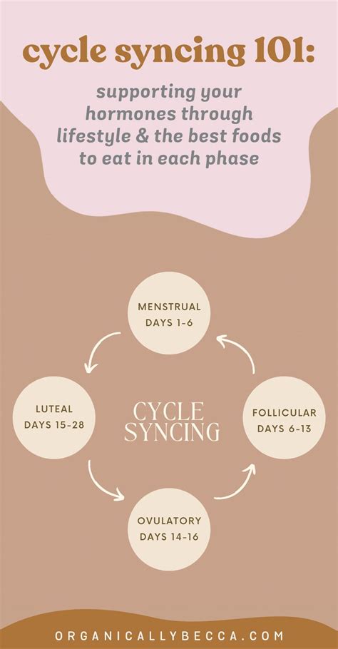 Cycle Syncing What To Eat And Drink In Each Phase Of Your Off