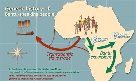 Genetic Study Reveals How Africans Descended From A Group Daily Mail