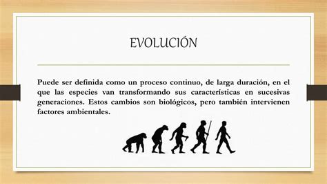 Etapas De La Evolución De Hombre Educación Ppt