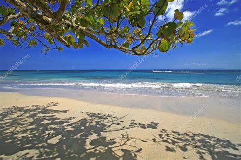 Caribbean Beach Scene — Stock Photo © monner #2507192