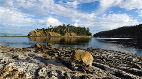 San Juan Islands Kayaking Orcas Island To Sucia Island Rei Co Op