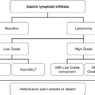 Management of gastric MALT lymphoma. | Download Scientific Diagram