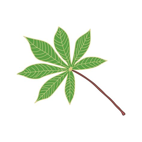 Hand Drawn Kids Drawing Cartoon Vector Illustration Cassava Leaves