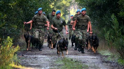 Tenente Coronel Do Aer Dromo De Manobra Em Ovar Acusado De V Rios