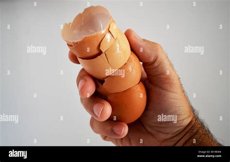 Hand Holding Egg Shells Stock Photo Alamy