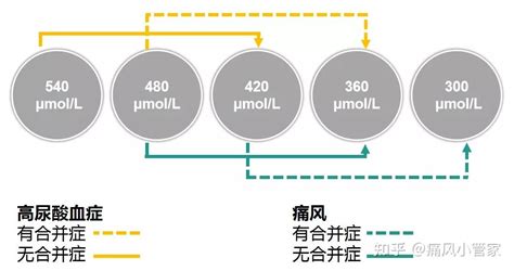 2019中国高尿酸血症与痛风诊疗指南解读 知乎