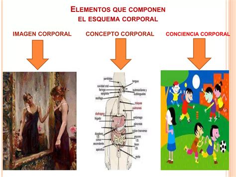 Esquema Corporal PPT