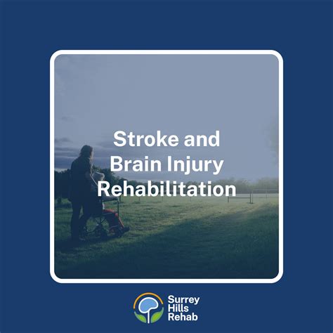 Our Services Surrey Hills Rehab