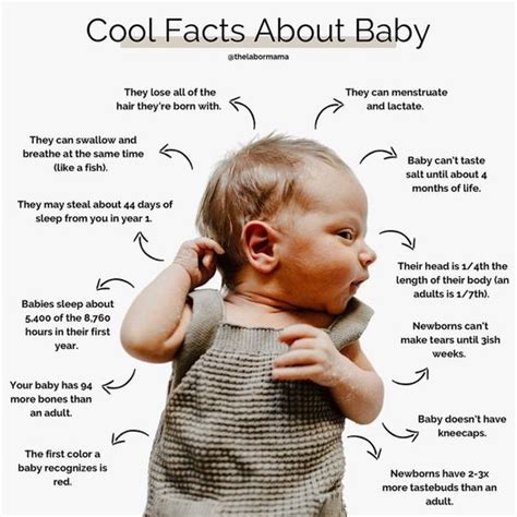 Cool facts about baby - GUGU Malaysia