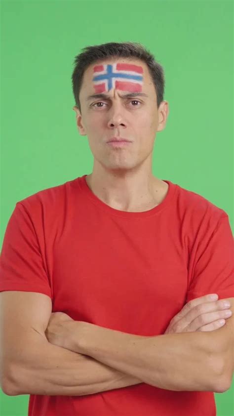 dignified   man  norwegian stock video pond