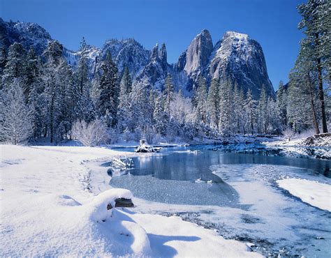 Winter In Yosemite National Park by Ron thomas