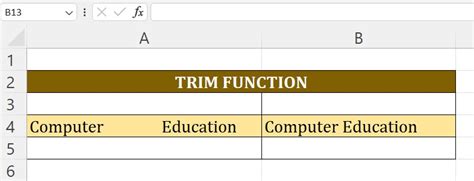 Trim Function