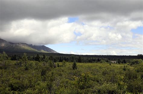 Hiking Denali National Park - michaelsulock.com