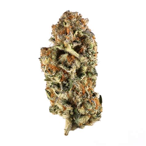 Do-Si-Dos Strain | Weed Information | Flavor Fix