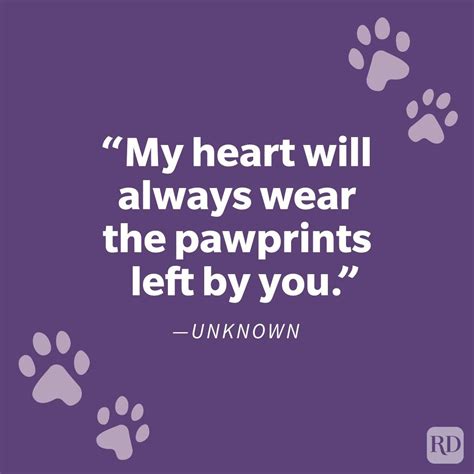 69 Pet Loss Quotes That Offer Comfort During a Difficult Time