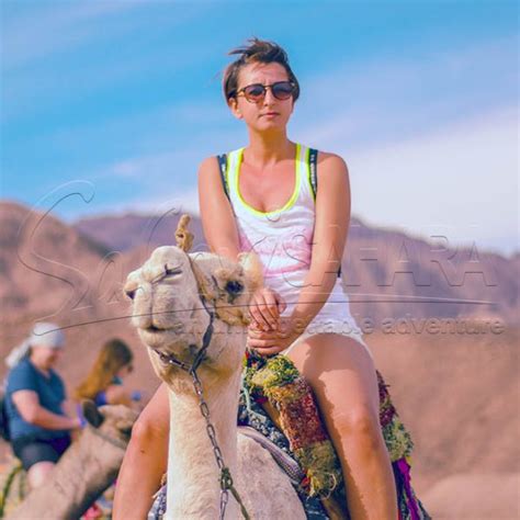 Sharm El Sheikh Sunset Desert Safari - Safari Sahara