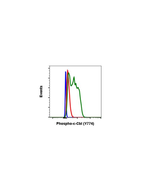 Phospho C Cbl Y774 Recombinant MAb Abwiz Bio