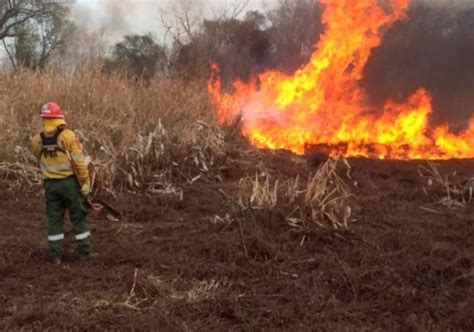 El Incendio Forestal En El Bolsón Ya Consumió 10 Mil Hectáreas • Datamovil