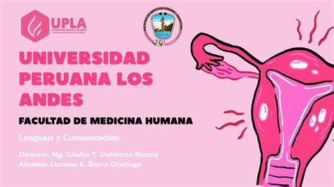 Presentación Virus Papiloma Humano Ilustrado Rosa Alexis Udocz