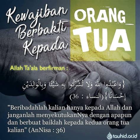 Pin Di Bakti Kepada Orang Tua Sesuai Sunnah Nabi ﷺ Birrul Walidain