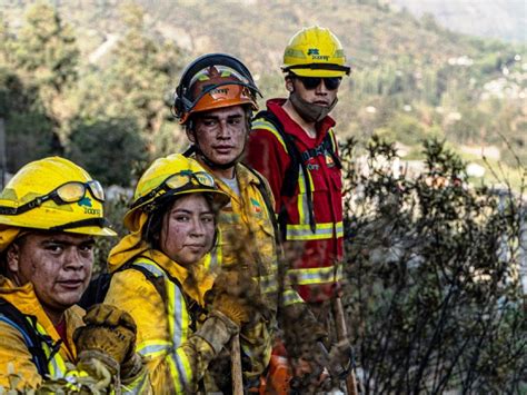 Brigadistas chilenos de CONAF viajan a Canadá para combatir en los