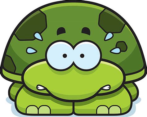 Royalty Free Scared Turtle Clip Art Vector Images And Illustrations Istock