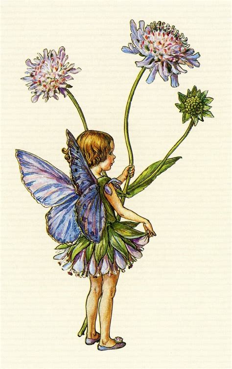 The Scabious Fairy Flower Fairies Of The Spring Cicely Mary Barker