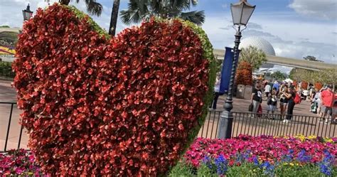 Valentines Day Dinners At Walt Disney World Buy And Sell Dvc