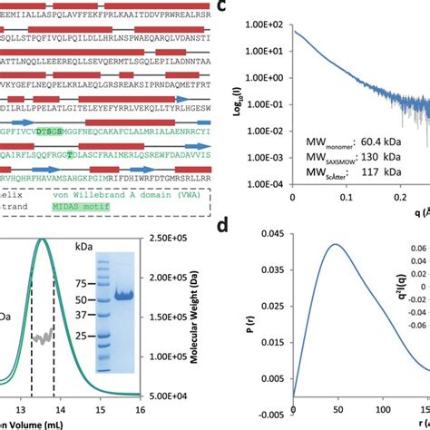 Biochemical And Biophysical Characterization Of Viaa A Annotated