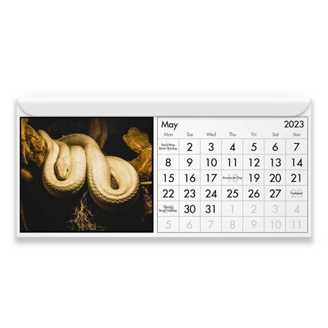 Serpiente Calendario Magn Tico Etsy Espa A