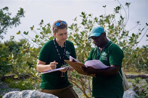 The Global Biodiversity Standard Uplink Contribution