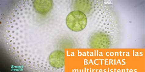 La Batalla Contra Las Bacterias Multirresistentes Indagando Tv