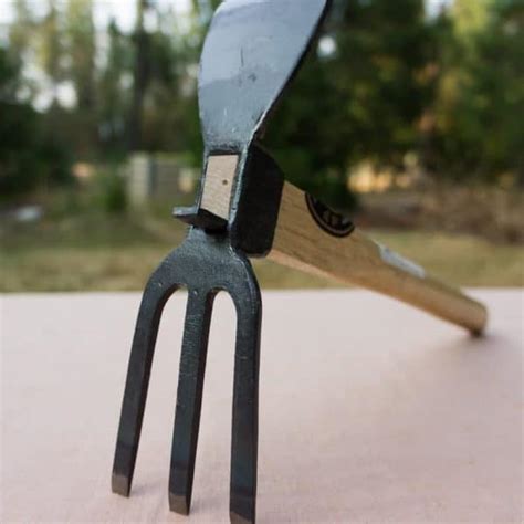 Whats The Best Weeding Tool For You The Tool Merchants