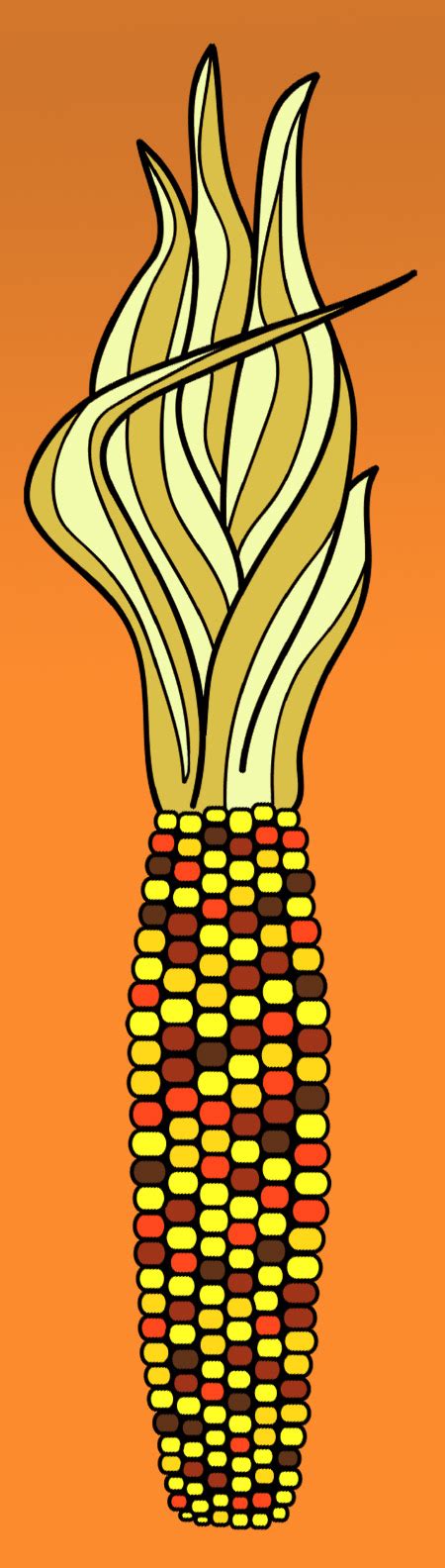 Indian corn clipart 20 free Cliparts | Download images on Clipground 2024