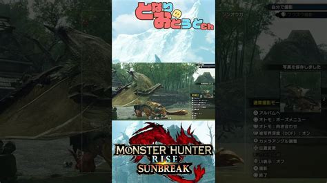 【monster Hunter Sunbreak】写真家ハンターの奮闘記 【モンハン】【モンスターハンターライズ】【サンブレイク】【となおとch】 Shorts モンハンライズ 攻略動画