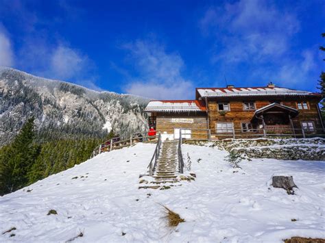 Easy winter hiking in the Carpathians - RomaniaTourStore