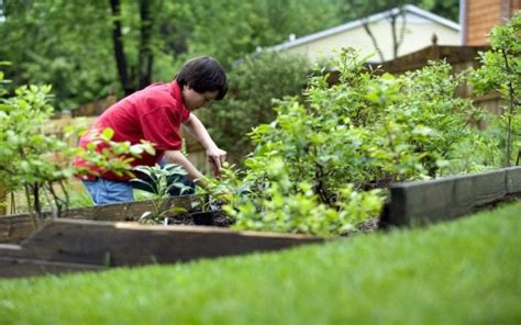 10 Autumn Gardening Tips to Transform Your Yard | Greener Ideal