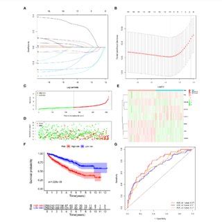 Construction Of A Prognostic Model Based On Tgf B Signaling Related