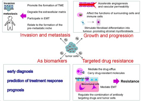 Roles Of Tumor Derived Exosomes In The Nsclc Tumor Derived Exosomes