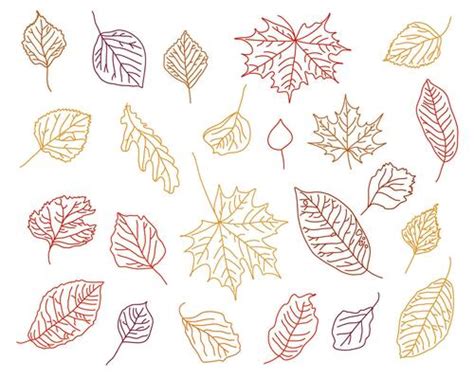 Fall Leaves Outline Vector Art, Icons, and Graphics for Free Download