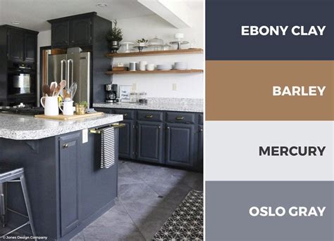 Color Palette For Kitchen With White Cabinets Besto Blog